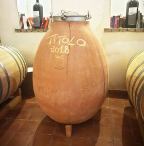 elena fucci titolo by amphora