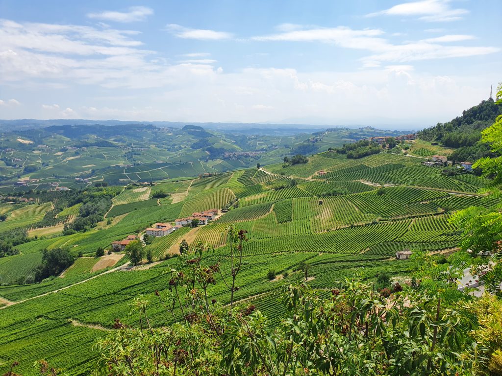 Druivensoorten die je alleen in Italië tegenkomt - La Morra - Piemonte