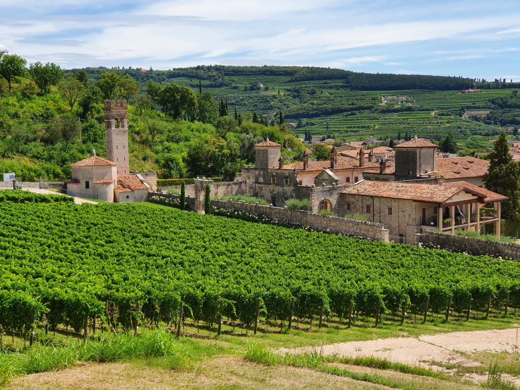 Villa della Torre, Amarone