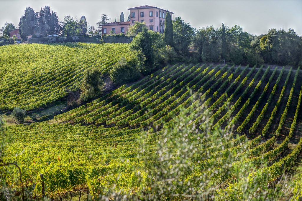 Bolgheri Super Tuscans