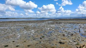 Wijnweekend in Nederland