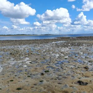 Wijnweekend Zeeland