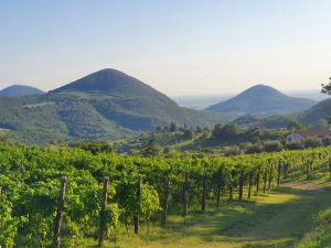 Colli Euganei: De verborgen parel van Noord-Italië