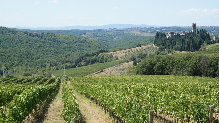 Toscaanse wijnsoorten - Chianti