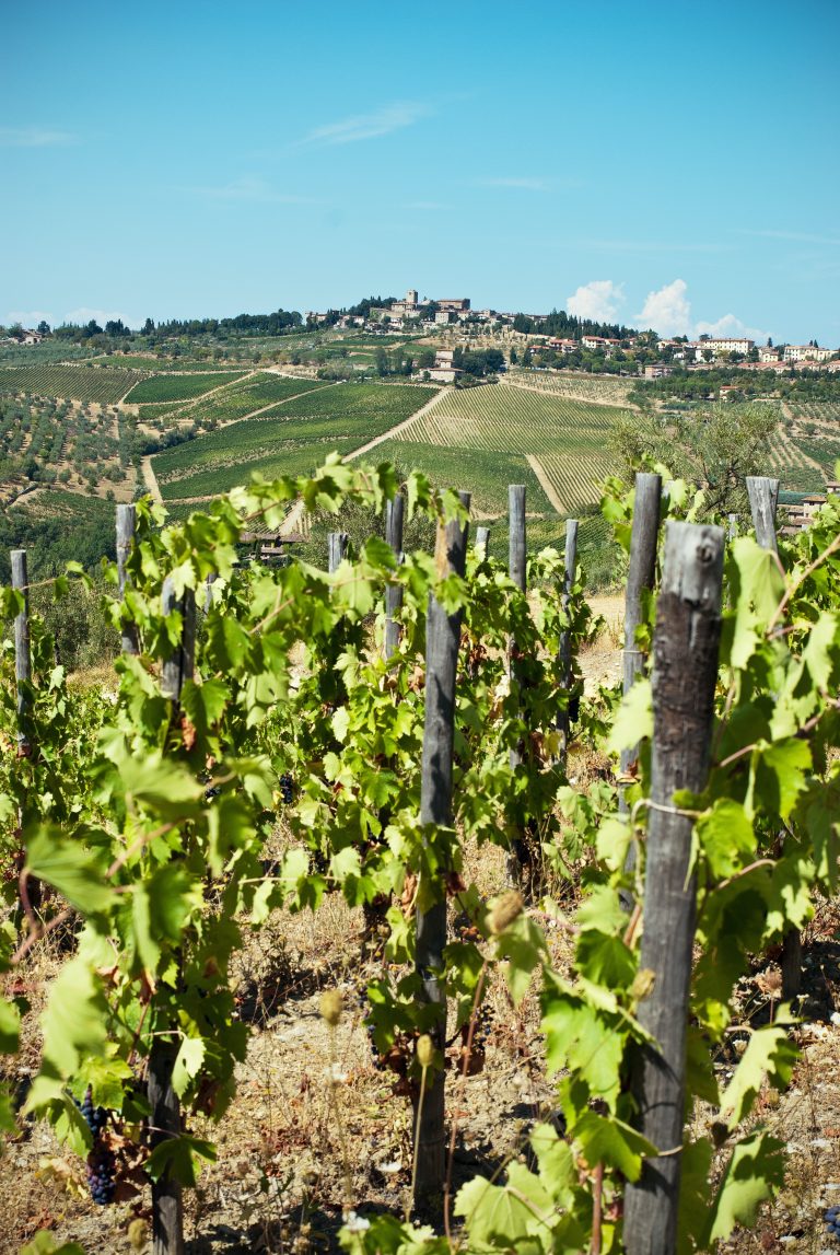 Chianti route