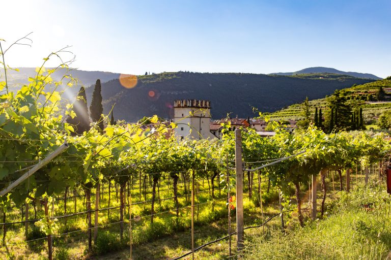 Wijngebieden Noord-Italië