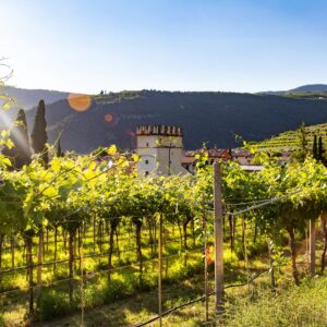 Wijngebieden Noord-Italië