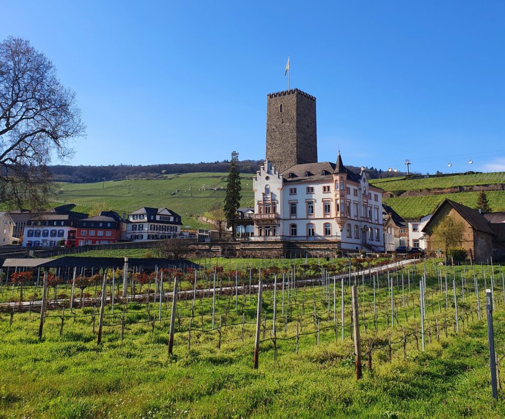 Wijnreis Rheingau en Moezel